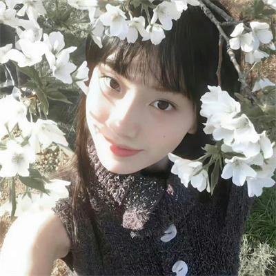 分歧者