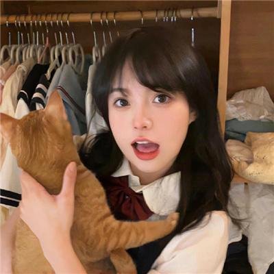 壳中少女 排气